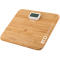 Gruppe ECO Bamboo Β2020
